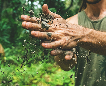 The best method of root growth fertilizer